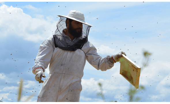 Alabasinis Bee Farm