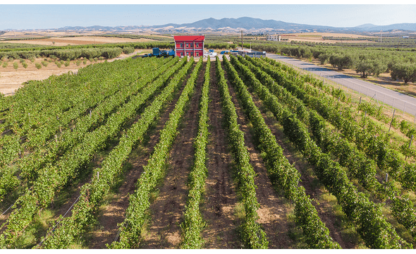 Konstantara Wines