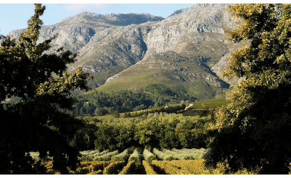 Kleinood Wine Estate