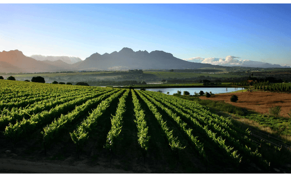 ASARA Wine Estate