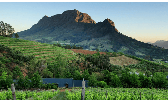 Bartinney Wine Estate