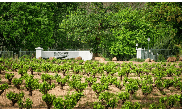 Kanonkop