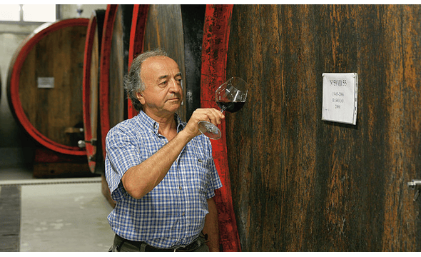Casa Vinicola Casetta
