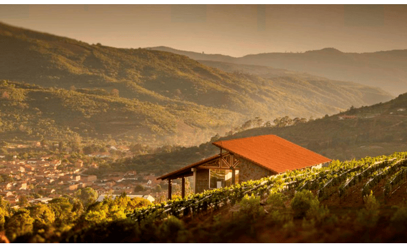 VInos 1750