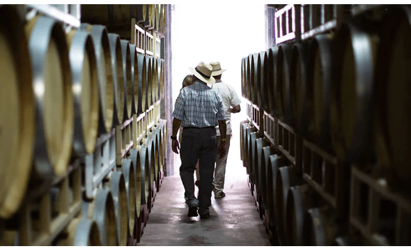 Rivero Gonzalez Winery