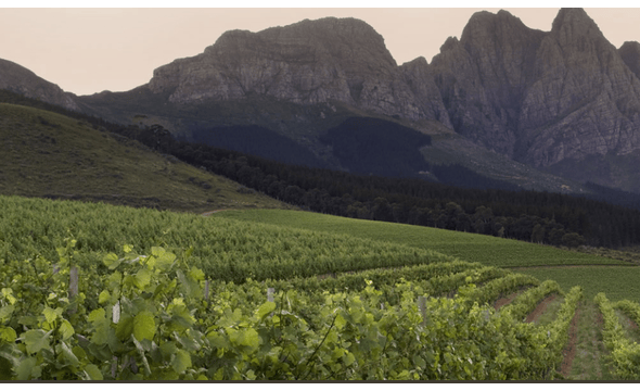 Neil Ellis Wines