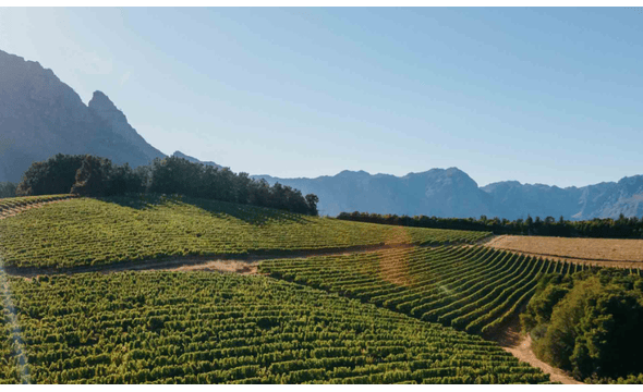 Quoin Rock Wine Estate