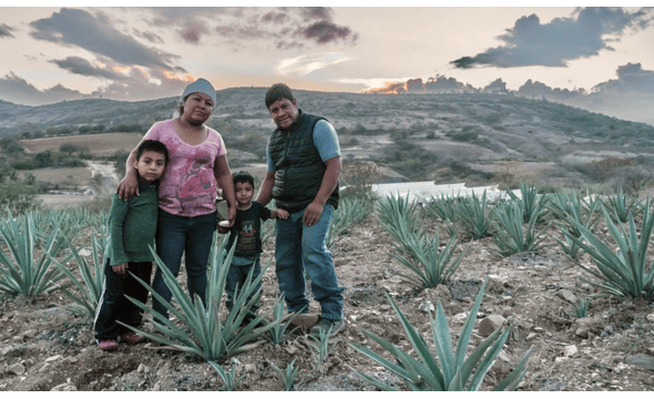 Erstwhile Mezcal