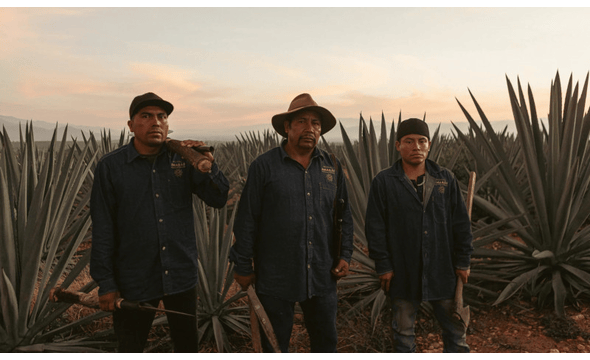 Mezcal Amarás