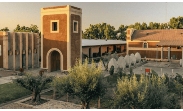 Abrasado Wines