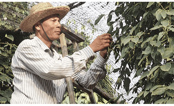 Uncle's Pepperfarm