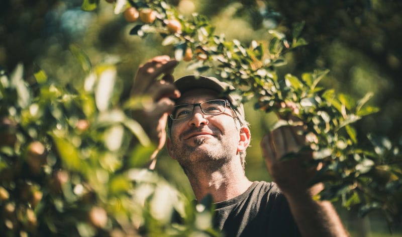 Vom Baum bis in die Flasche - Feiner Kappler im Portrait