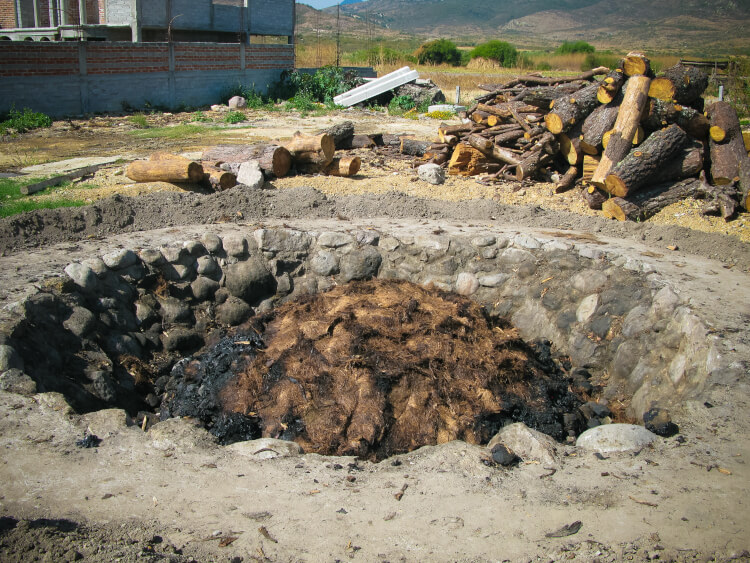 Bei Mezcal werden die Agaven in einer Bodengrube auf Stein erhitzt