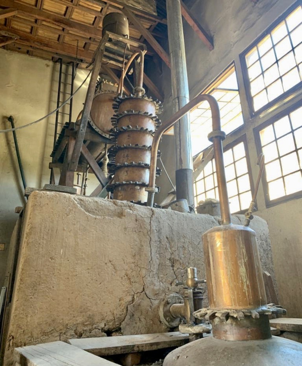 Pisco wird wie andere Weinbrände hergestellt: Die angebauten Trauben werden gepresst, fermentiert, destilliert und dann gelagert. Die Qualität wird über den Weinanbau, die Art und Weise der Destillation und der Lagerung des Pisco gesteuert Pisco wird wie andere Weinbrände hergestellt: Die angebauten Trauben werden gepresst, fermentiert, destilliert und dann gelagert. Die Qualität wird über den Weinanbau, die Art und Weise der Destillation und der Lagerung des Pisco gesteuert
