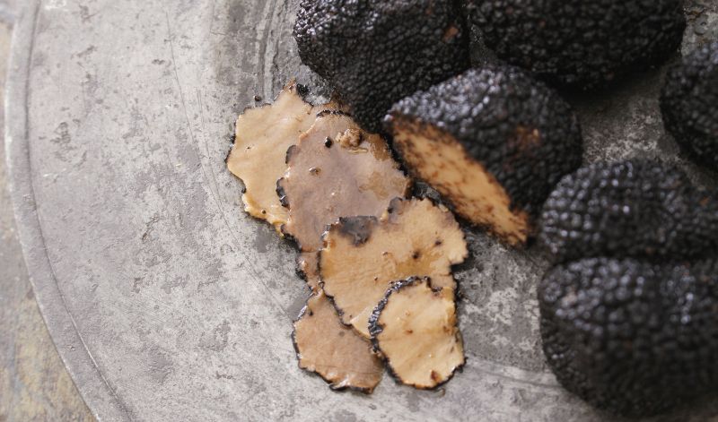 Truffles - Exciting facts & more | Honest & Rare
