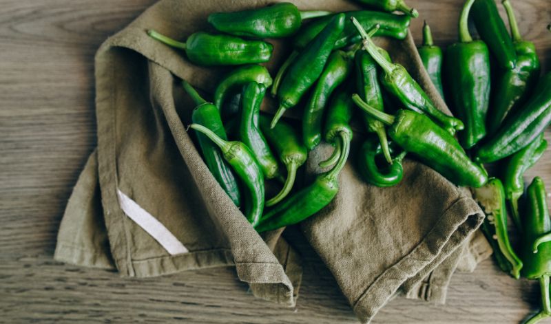 Jalapeños sind mild-scharf und leicht süßlich.