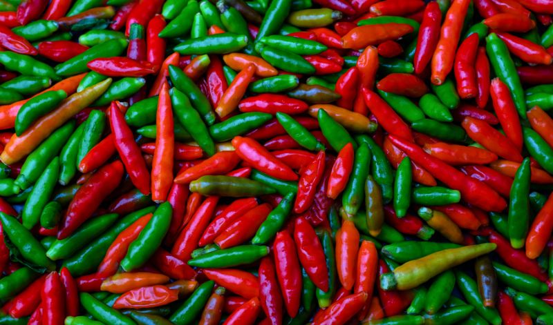 Aus Tabasco-Chilis wird vor allem die berühmte Tabasco Sauce hergestellt