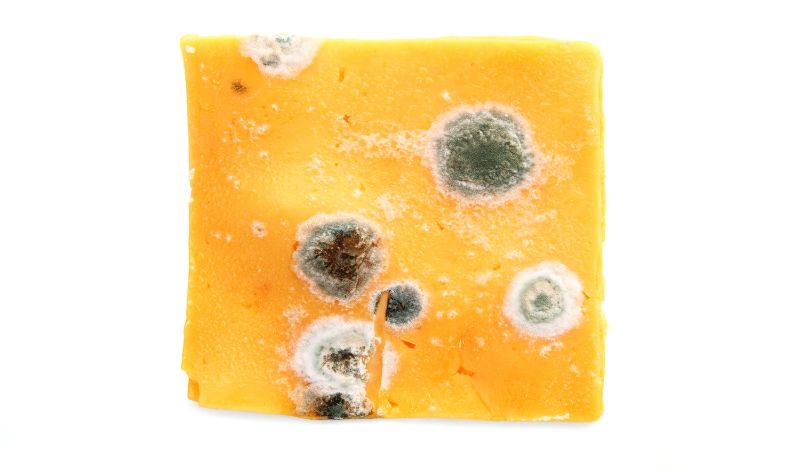 Wenn man Feststellen will, ob ein Produkt noch genießbar ist, ist es immer sinnvoll, die eigenen Sinne (riechen, sehen, tasten, schmecken) einzusetzen. Wenn man Feststellen will, ob ein Produkt noch genießbar ist, ist es immer sinnvoll, die eigenen Sinne (riechen, sehen, tasten, schmecken) einzusetzen.