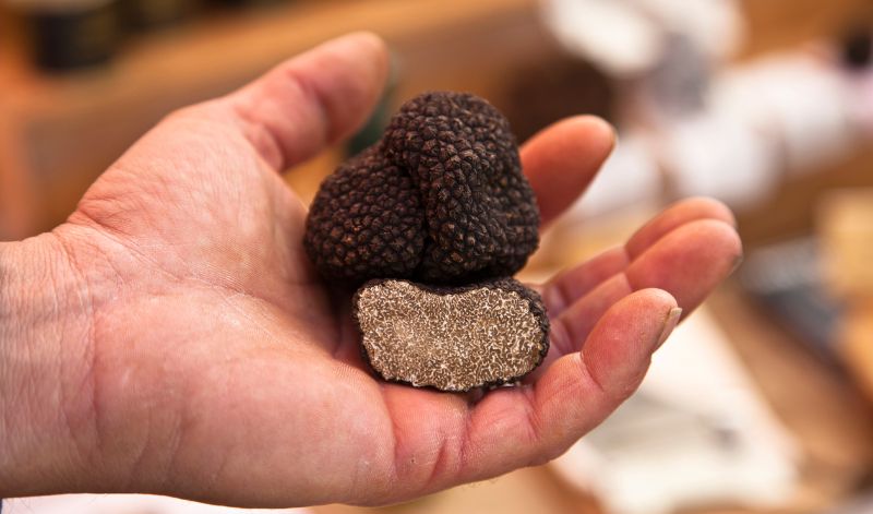 China Trüffel sehen zwar aus wie Trüffel, haben aber kaum Aroma. China Trüffel sehen zwar aus wie Trüffel, haben aber kaum Aroma.