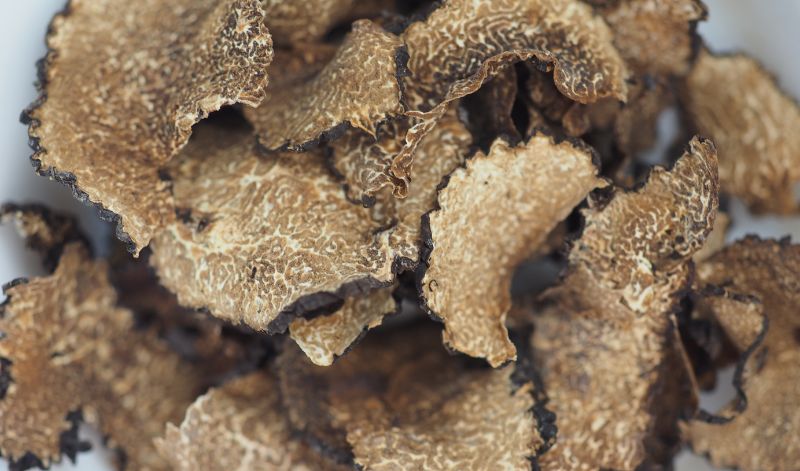 Sommertrüffel sind etwas milder als klassische Schwarze Trüffel Sommertrüffel sind etwas milder als klassische Schwarze Trüffel