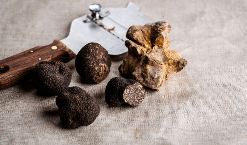 Trüffel sind unterirdisch wachsende Pilze, die aufgrund ihres Aromas als Delikatesse gelten Trüffel sind unterirdisch wachsende Pilze, die aufgrund ihres Aromas als Delikatesse gelten